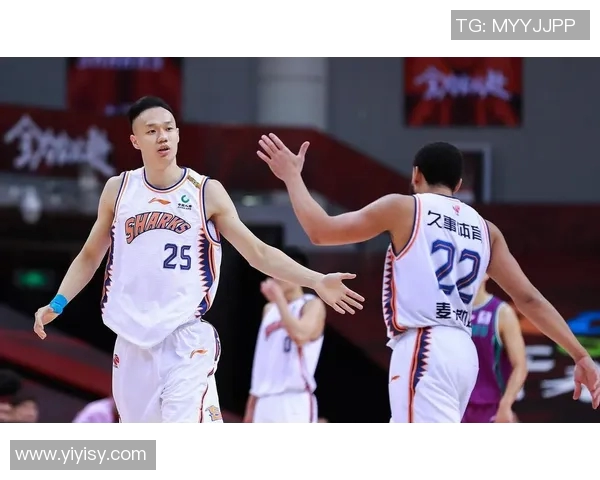 马尔科-查卡莱维奇因伤缺席CBA常规赛，球队备战调整策略全解析